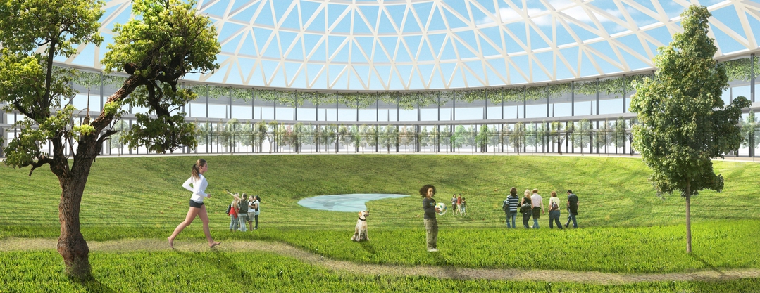 After The Crowds Leave: 4 Abandoned Stadiums That Avoided Demolition